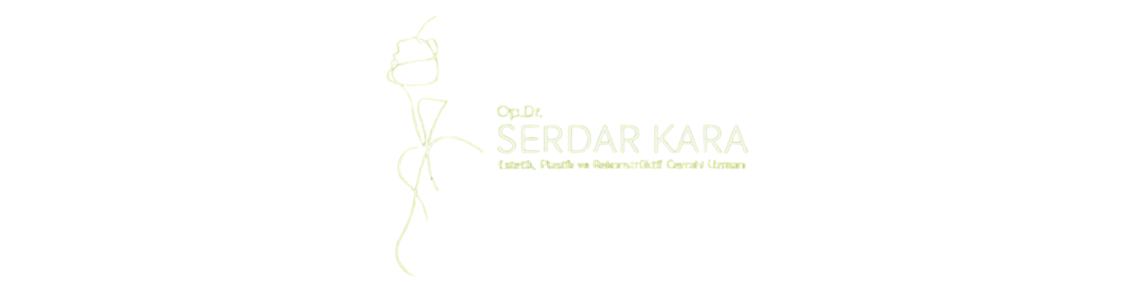 OP. DR. SERDAR KARA 